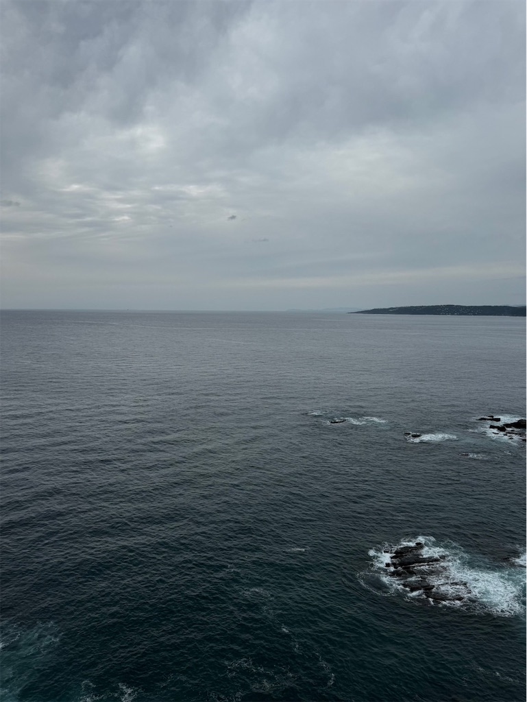 f:id:izumi-kasahara:20250202232130j:image