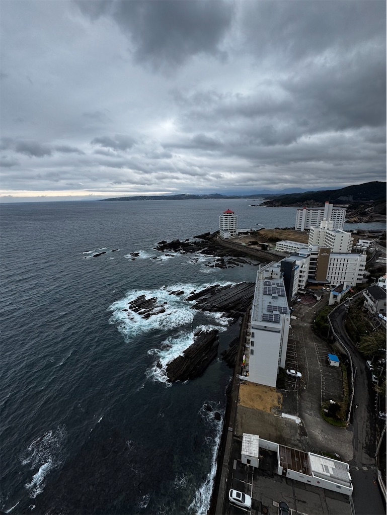 f:id:izumi-kasahara:20250202232136j:image