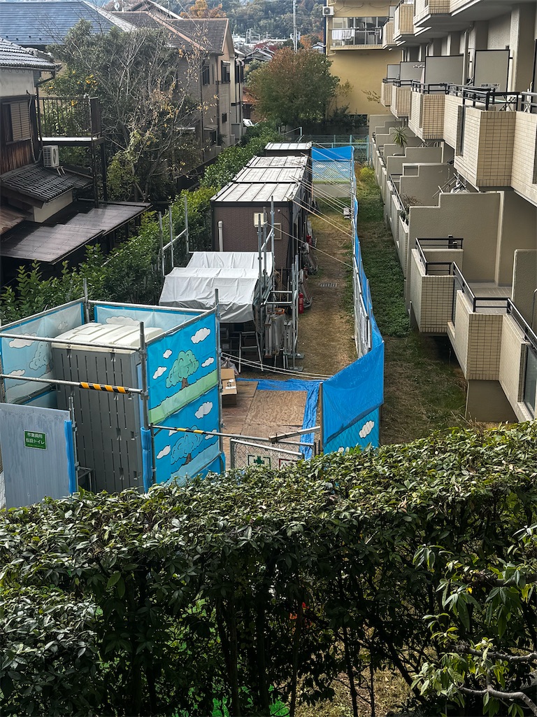 f:id:izumi-kasahara:20250220195521j:image