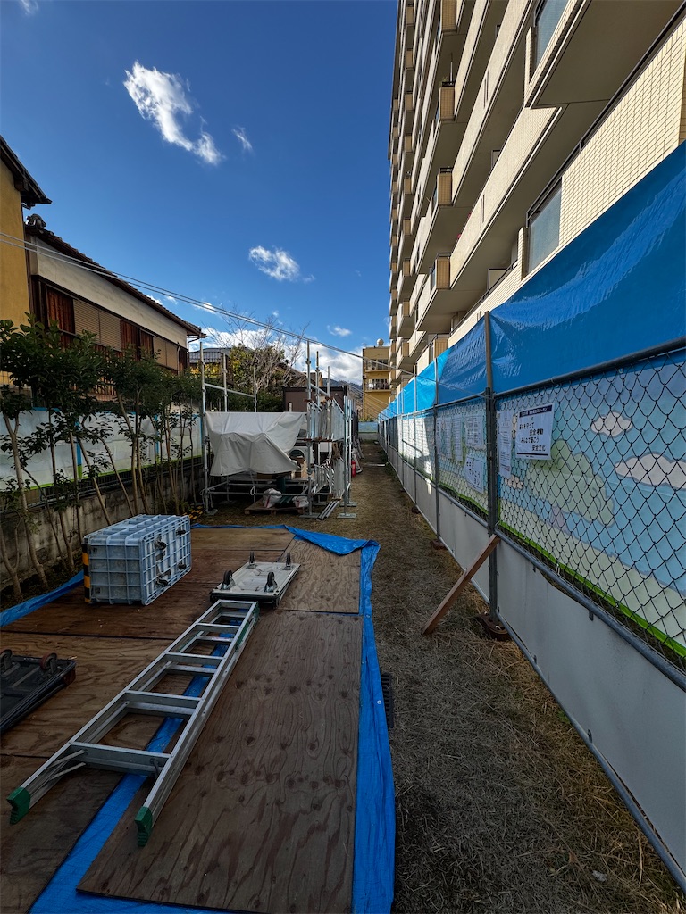 f:id:izumi-kasahara:20250220195524j:image