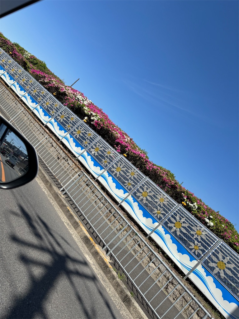 f:id:izumi-kasahara:20250425093201j:image