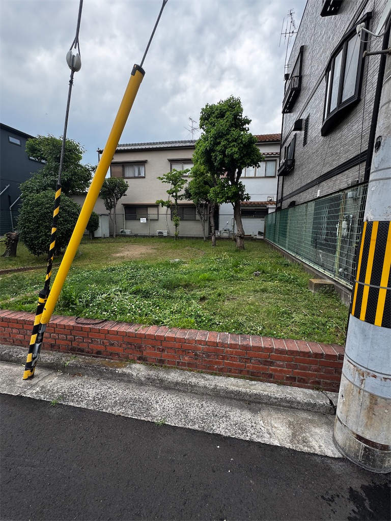 f:id:izumi-kasahara:20250610072423j:image