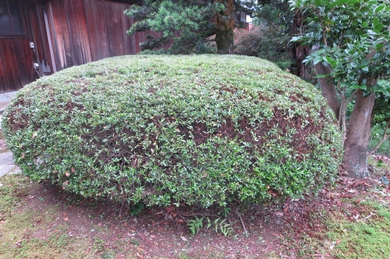 イメージ 10