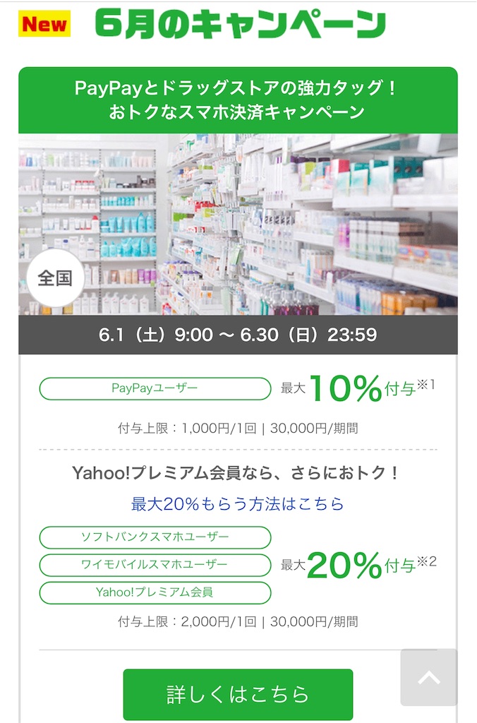 f:id:izumi713:20190602205418j:image f:id:izumi713:20190602205418j:image