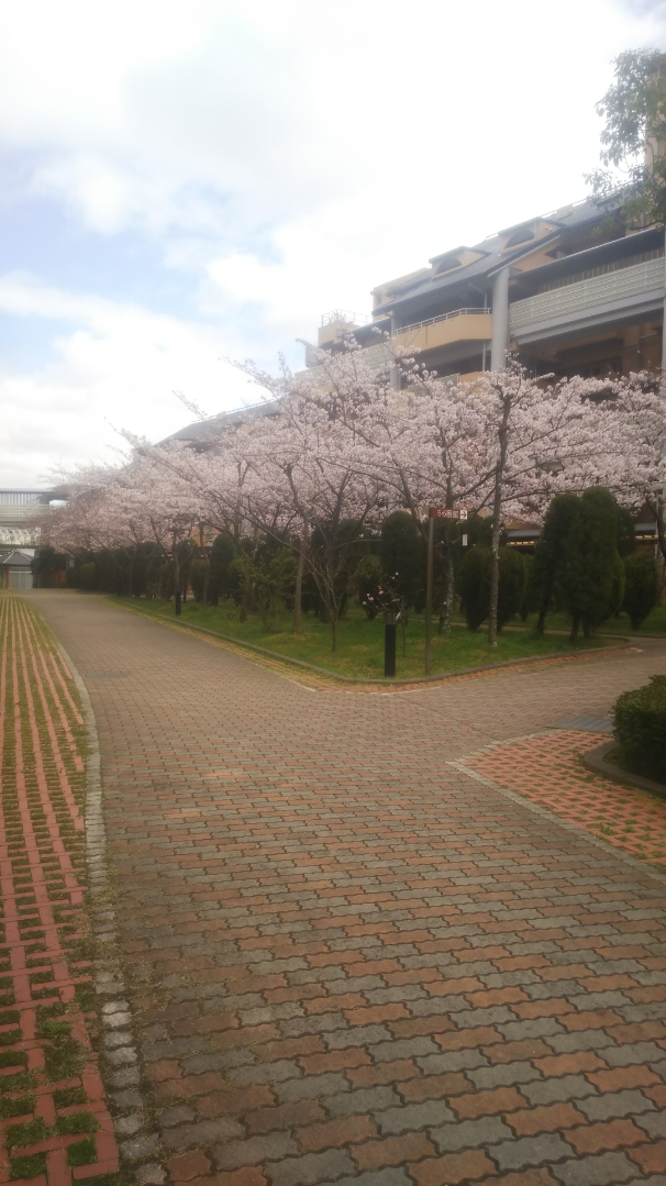 f:id:izumiCNZ:20200329171417j:plain