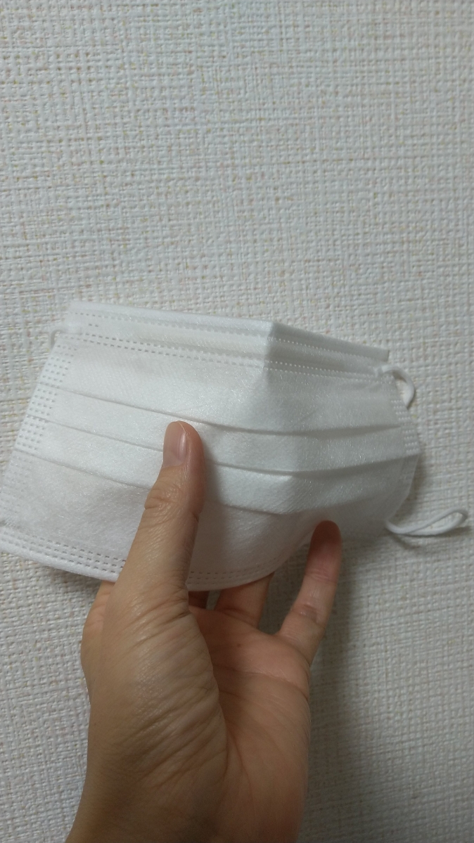 f:id:izumiCNZ:20201225205904j:plain