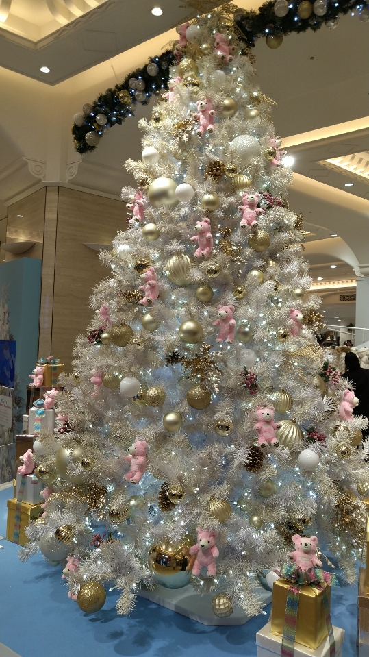 f:id:izumiCNZ:20220101210600j:plain