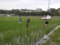 20110702175400
