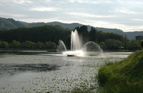 20110714084327