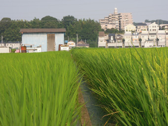 20110813090439