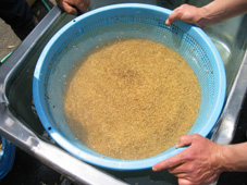 f:id:izumibashi:20120503164424j:image:w360