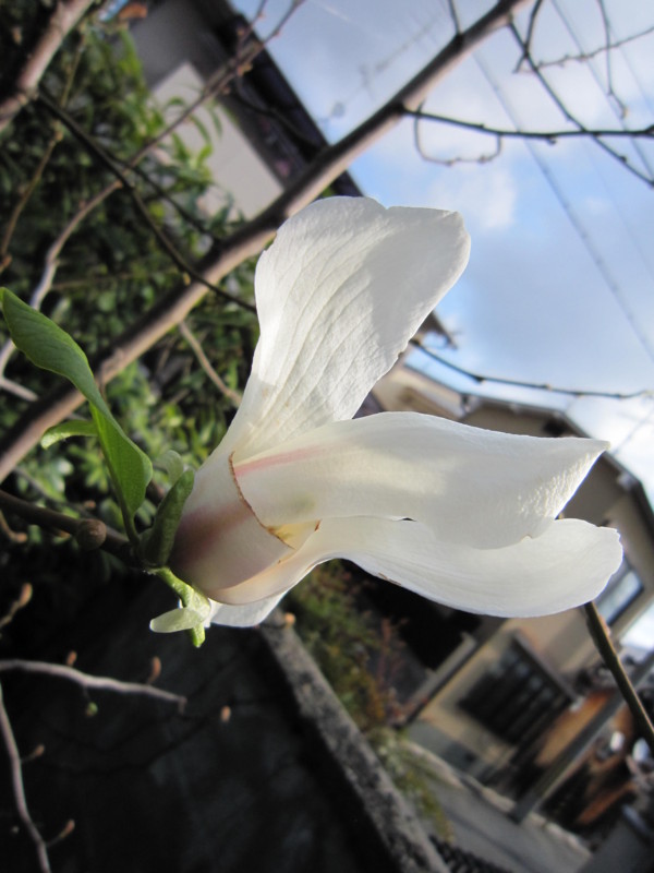 f:id:izumigawa:20140405082555j:image
