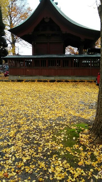 f:id:izumihudousan2007:20161120104910j:image
