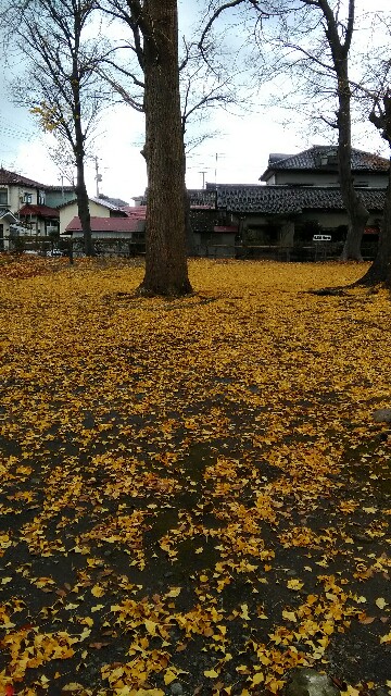 f:id:izumihudousan2007:20161120104917j:image