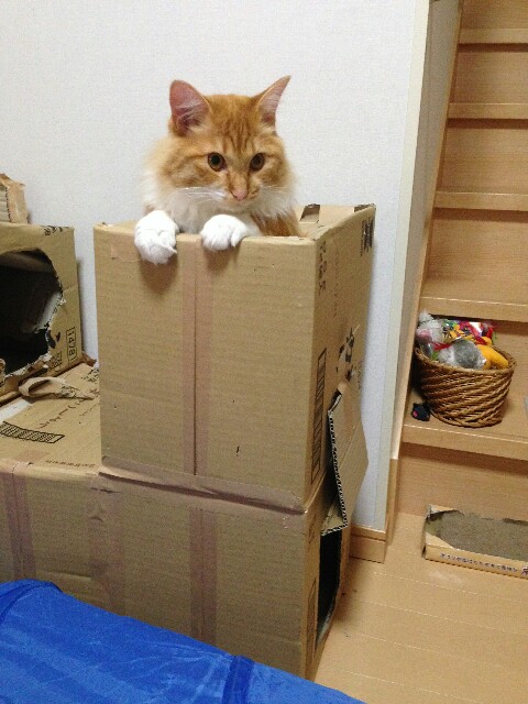 f:id:izumihudousan2007:20170104090718j:image