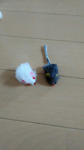f:id:izumihudousan2007:20170329084934j:image