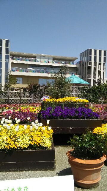 f:id:izumihudousan2007:20170507223557j:image