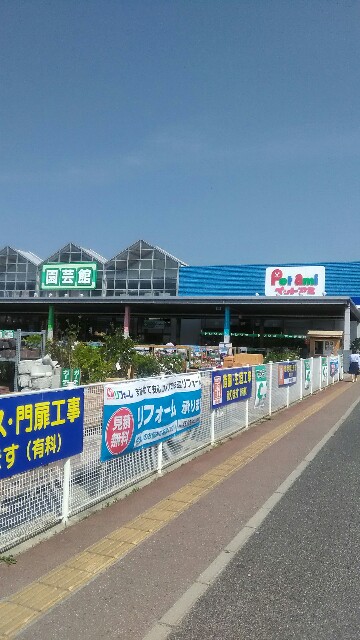 f:id:izumihudousan2007:20170521203421j:image