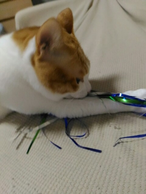 f:id:izumihudousan2007:20171205064749j:image