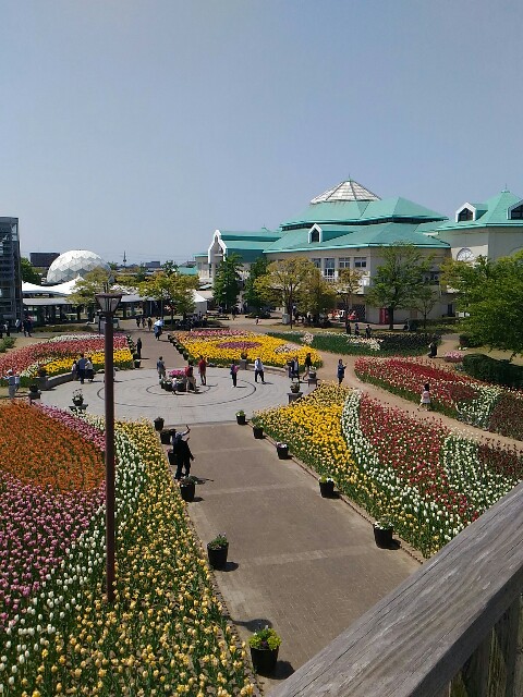 f:id:izumihudousan2007:20180430075707j:image f:id:izumihudousan2007:20180430075707j:image