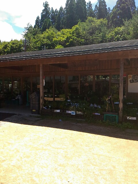 f:id:izumihudousan2007:20180701211624j:image f:id:izumihudousan2007:20180701211624j:image