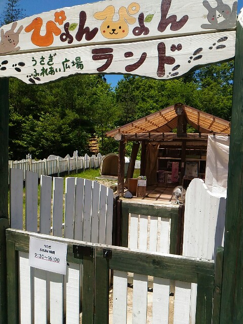 f:id:izumihudousan2007:20180701211745j:image f:id:izumihudousan2007:20180701211745j:image