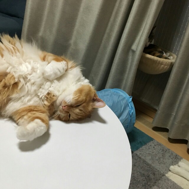 f:id:izumihudousan2007:20180717052144j:image