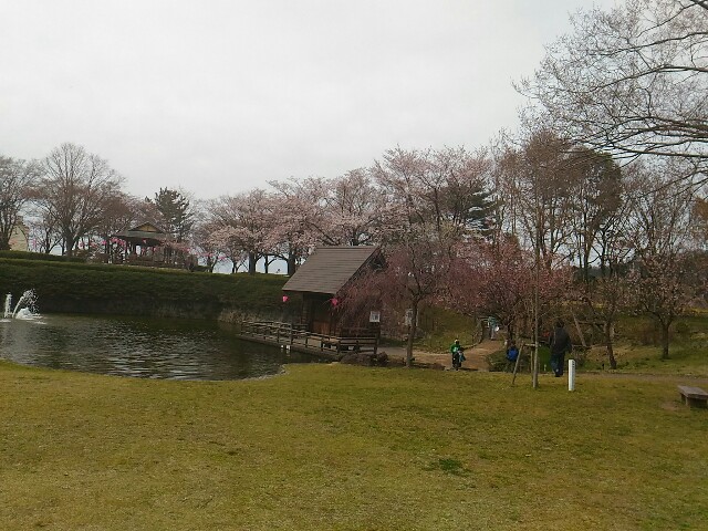 f:id:izumihudousan2007:20190415063226j:image