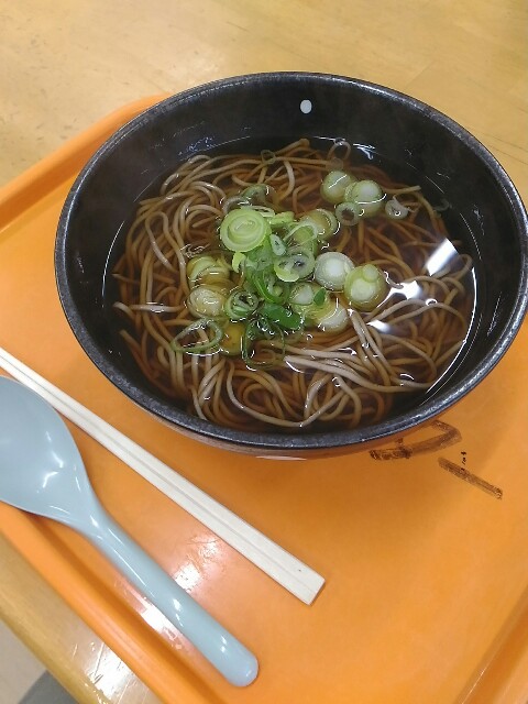 f:id:izumihudousan2007:20190415081815j:image