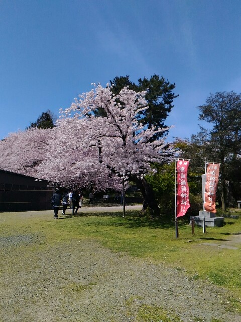f:id:izumihudousan2007:20190422052522j:image