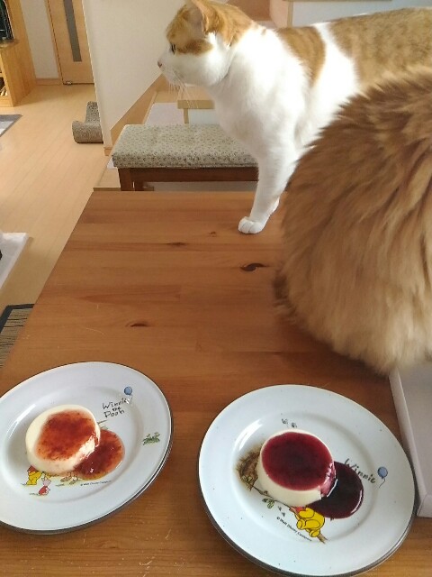 f:id:izumihudousan2007:20190827063257j:image f:id:izumihudousan2007:20190827063257j:image