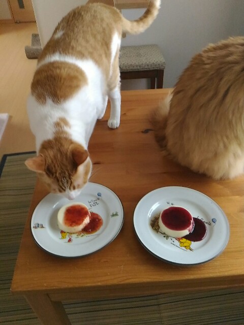 f:id:izumihudousan2007:20190827063337j:image f:id:izumihudousan2007:20190827063337j:image