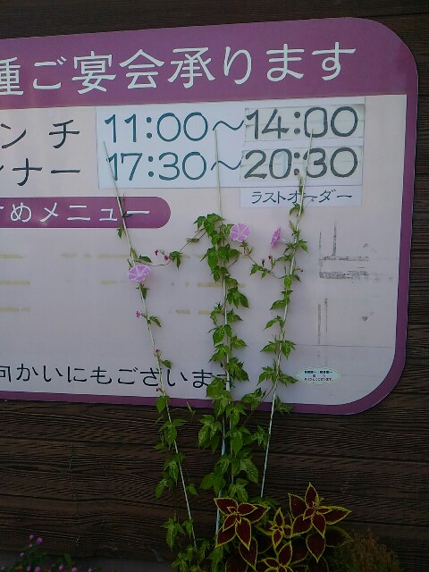 f:id:izumihudousan2007:20190916053448j:image