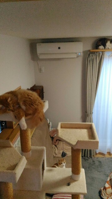 f:id:izumihudousan2007:20191227070330j:image