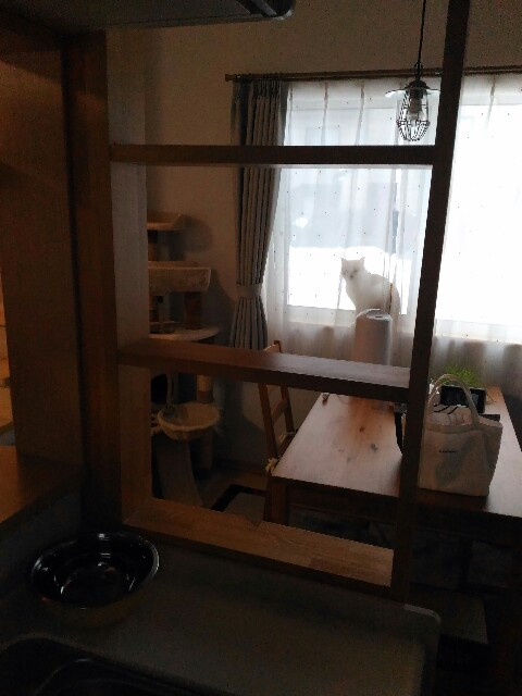 f:id:izumihudousan2007:20200213145626j:image