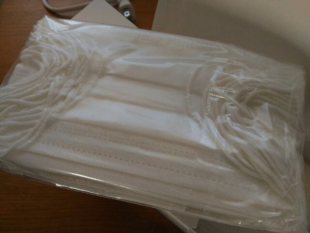 f:id:izumihudousan2007:20200413065326j:image