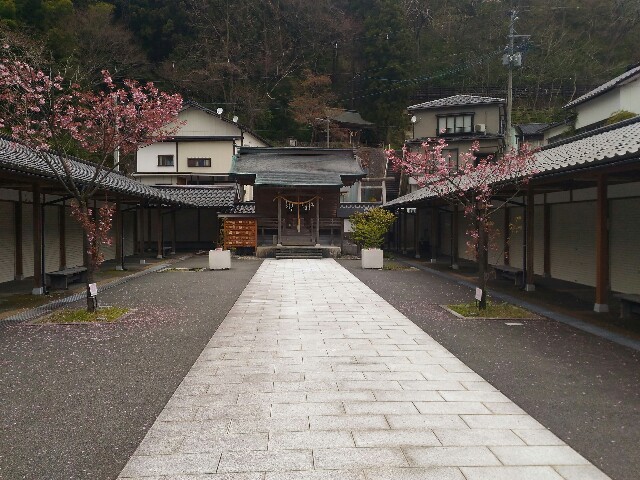 f:id:izumihudousan2007:20200420040334j:image f:id:izumihudousan2007:20200420040334j:image