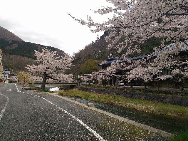 f:id:izumihudousan2007:20200420040852j:image f:id:izumihudousan2007:20200420040852j:image