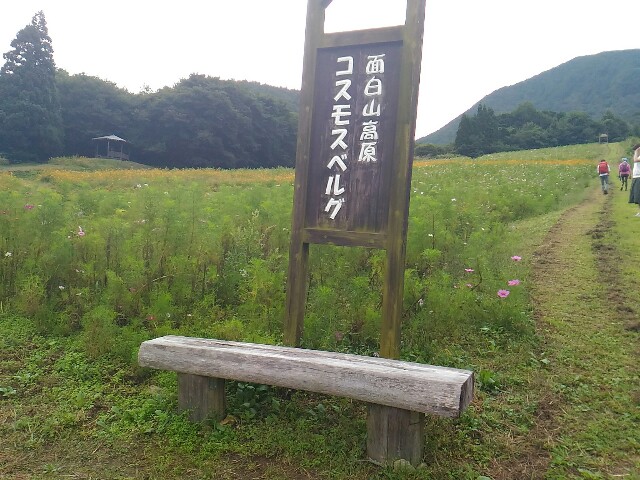 f:id:izumihudousan2007:20200920200610j:image f:id:izumihudousan2007:20200920200610j:image
