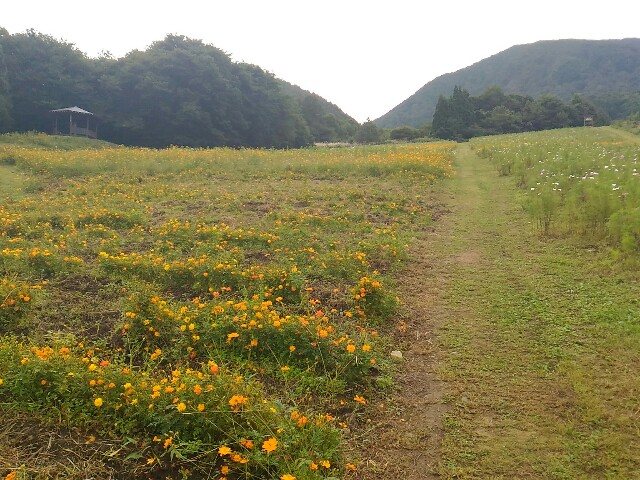 f:id:izumihudousan2007:20200920200747j:image f:id:izumihudousan2007:20200920200747j:image