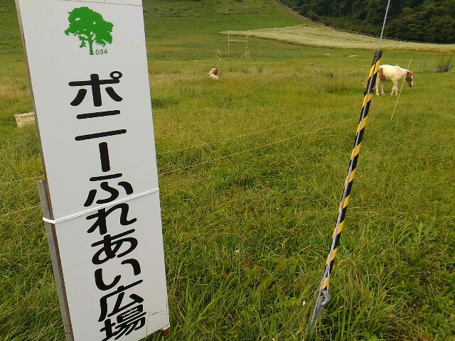 f:id:izumihudousan2007:20200920201718j:image f:id:izumihudousan2007:20200920201718j:image