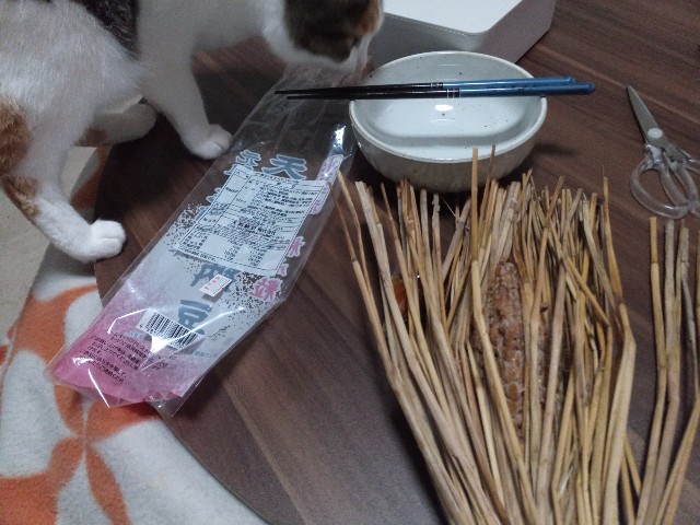 f:id:izumihudousan2007:20201210063431j:image