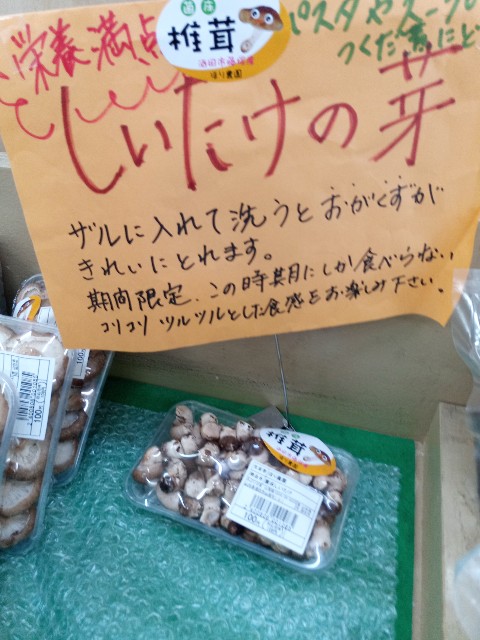 f:id:izumihudousan2007:20201228043306j:image