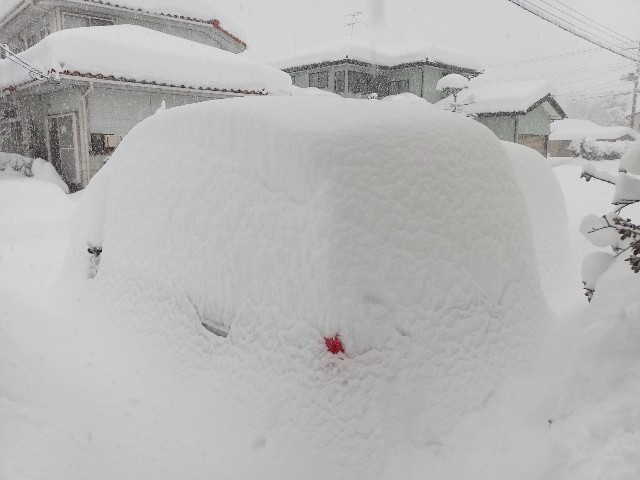 f:id:izumihudousan2007:20210109093221j:image
