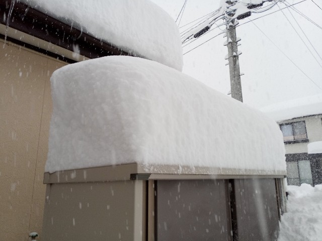 f:id:izumihudousan2007:20210109093233j:image