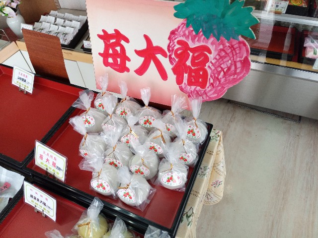 f:id:izumihudousan2007:20210319051255j:image