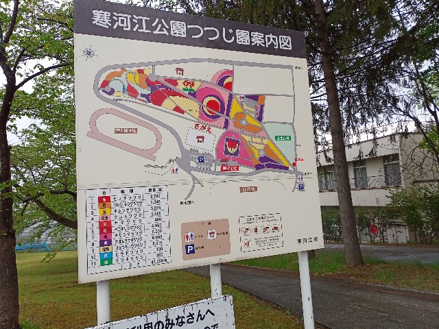 f:id:izumihudousan2007:20210509161559j:image