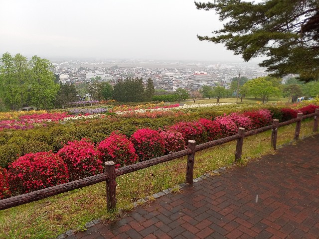 f:id:izumihudousan2007:20210509161612j:image