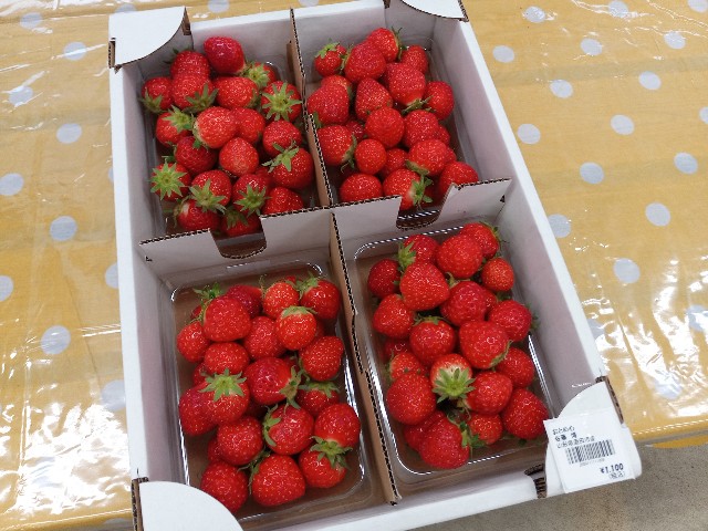 f:id:izumihudousan2007:20210522201259j:image f:id:izumihudousan2007:20210522201259j:image