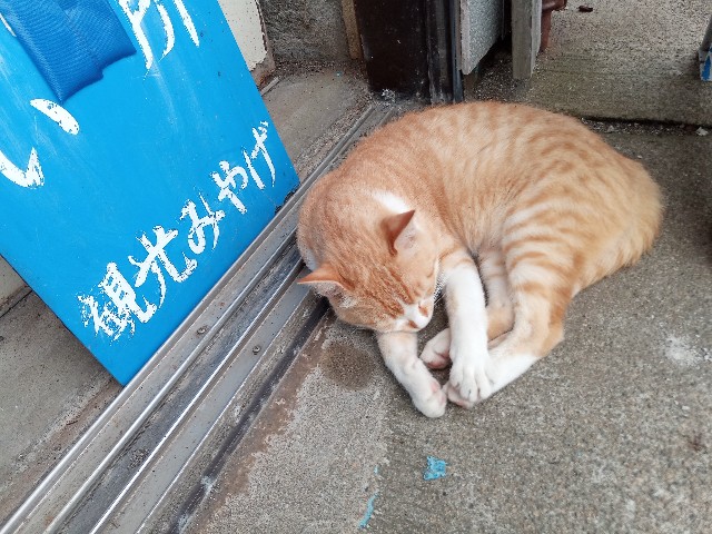 f:id:izumihudousan2007:20210711190257j:image f:id:izumihudousan2007:20210711190257j:image